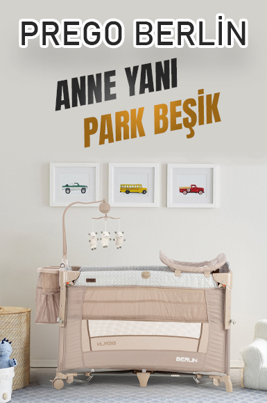 Oto Koltukları